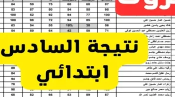 رابط مباشر.. كيفية استخراج نتيجة الصف السادس الابتدائي بالرقم القومي لعام 2026